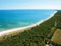 Spiaggia e pineta nel Delta del Po, ideale per un viaggio in camper. Mare azzurro, sabbia dorata e natura rigogliosa.