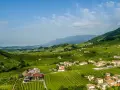 Colline verdi con vigneti a perdita d'occhio, case sparse e montagne sullo sfondo. Un paesaggio incantevole per scoprire Conegliano e dintorni cosa vedere.