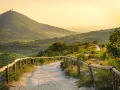 Sentiero panoramico sui Colli Euganei, cosa vedere: un percorso tra colline verdi e vigneti al tramonto.