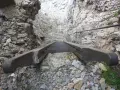 Scalinata in metallo e legno su roccia, parte di un percorso attrezzato, tipico delle ferrate in Veneto.