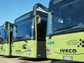 Autobus verdi Iveco pronti per il viaggio da Venezia a Cortina.
