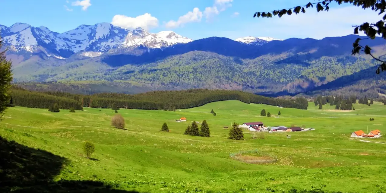 Un paesaggio alpino con montagne innevate, verdi colline e fattorie. Un vero consiglio cosa vedere per gli amanti della natura.