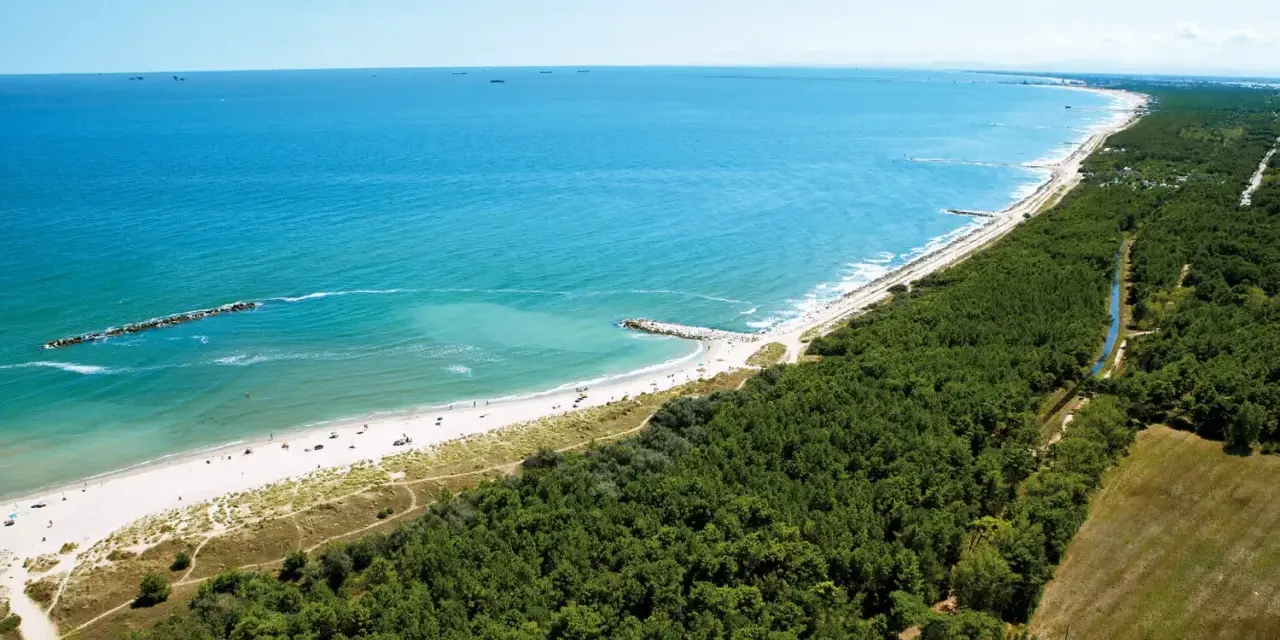 Spiaggia e pineta nel Delta del Po, ideale per un viaggio in camper. Mare azzurro, sabbia dorata e natura rigogliosa.