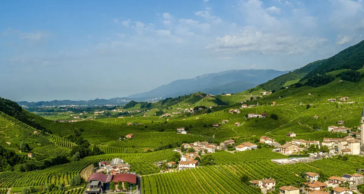 Colline verdi con vigneti a perdita d'occhio, case sparse e montagne sullo sfondo. Un paesaggio incantevole per scoprire Conegliano e dintorni cosa vedere.