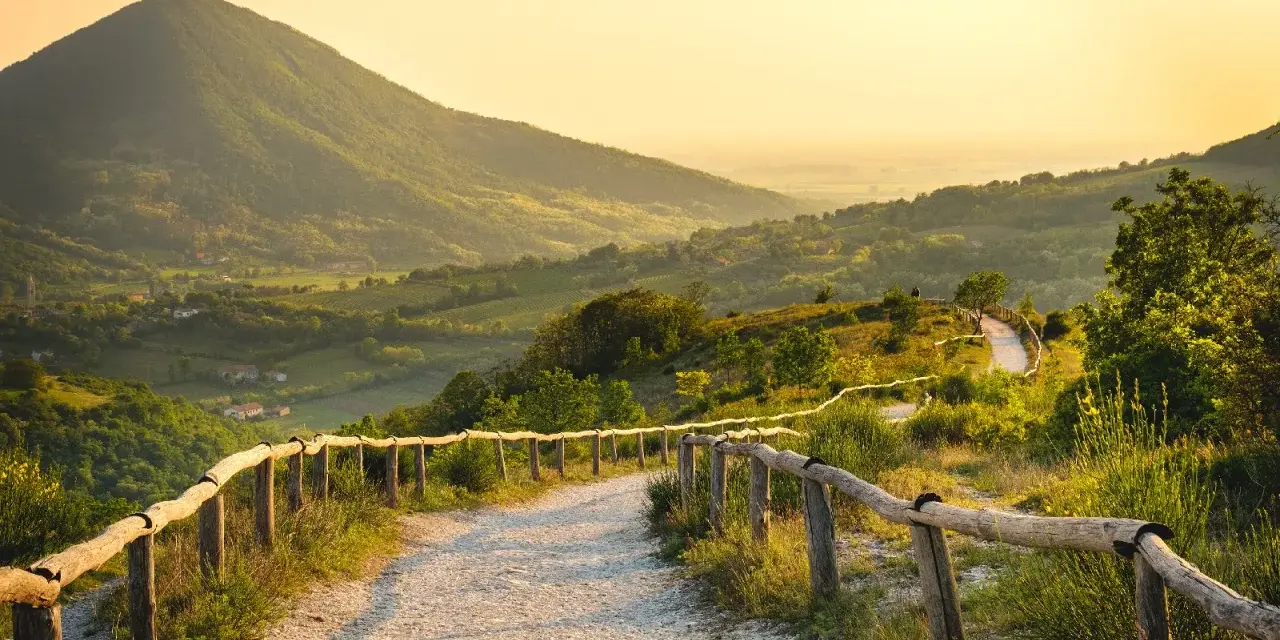 Sentiero panoramico sui Colli Euganei, cosa vedere: un percorso tra colline verdi e vigneti al tramonto.