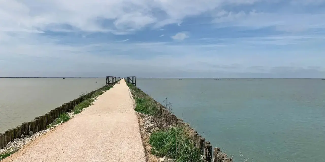 Sentiero lungo le ciclabili del Delta del Po, con acqua calma e cielo nuvoloso.