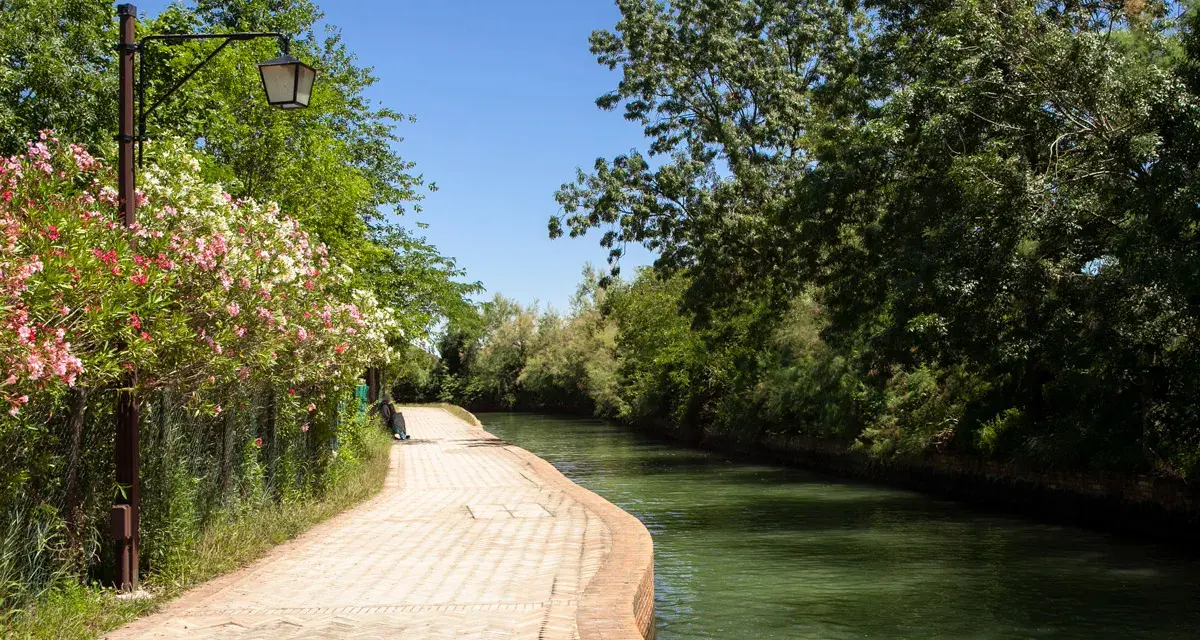 Sentiero fiorito lungo il canale, un invito a scoprire come arrivare a Torcello.