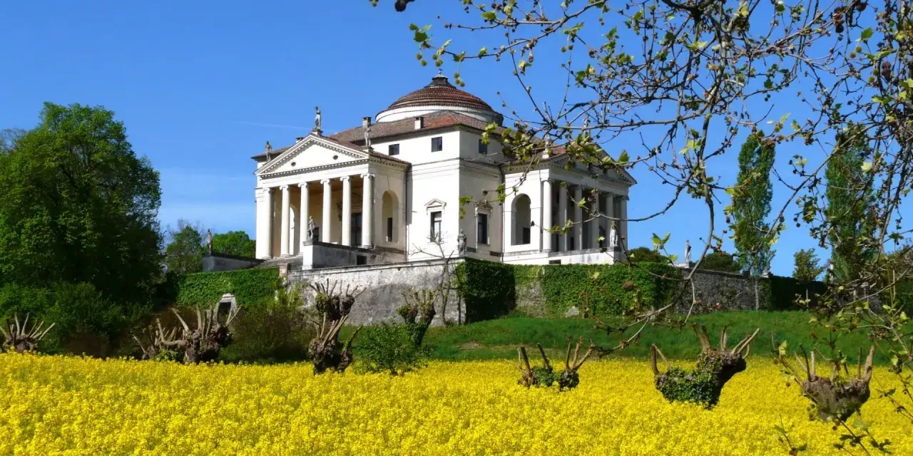 Villa Almerico Capra detta La Rotonda, capolavoro di Palladio a Vicenza, si erge maestosa su un colle, circondata da un mare di fiori gialli.