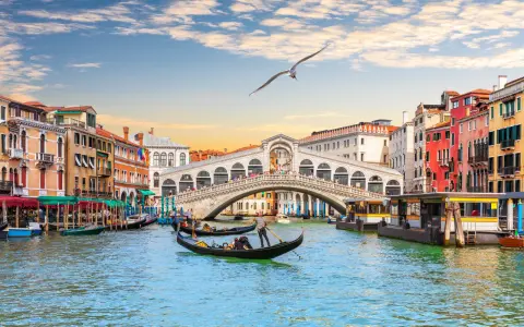 Gondole scivolano sui **canaletti di Venezia**, sotto il Ponte di Rialto, con edifici colorati e un gabbiano in volo.