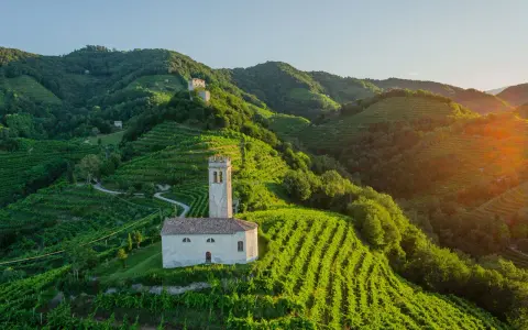 Un borgo con una chiesetta e campanile tra colline vitate, un esempio di cosa vedere nei dintorni di Treviso per un paesaggio incantevole.