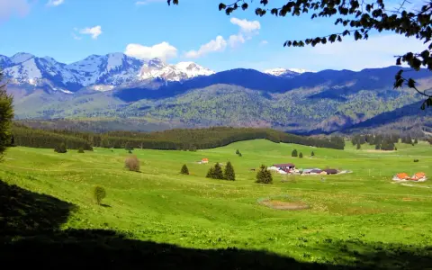 Un paesaggio alpino con montagne innevate, verdi colline e fattorie. Un vero consiglio cosa vedere per gli amanti della natura.