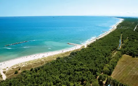 Spiaggia e pineta nel Delta del Po, ideale per un viaggio in camper. Mare azzurro, sabbia dorata e natura rigogliosa.