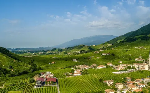 Colline verdi con vigneti a perdita d'occhio, case sparse e montagne sullo sfondo. Un paesaggio incantevole per scoprire Conegliano e dintorni cosa vedere.