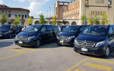 Flotta di Mercedes nere pronte per il transfer aeroporto Treviso. Autisti in attesa.
