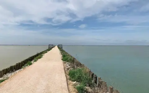 Sentiero lungo le ciclabili del Delta del Po, con acqua calma e cielo nuvoloso.