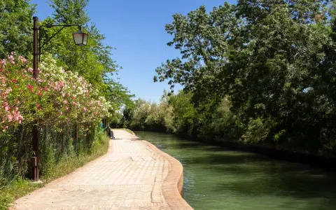 Sentiero fiorito lungo il canale, un invito a scoprire come arrivare a Torcello.