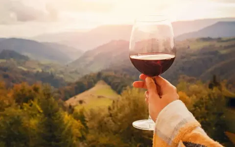 Un calice di vino rosso, perfetto per le degustazioni sui Colli Euganei, si staglia contro un paesaggio collinare autunnale al tramonto.