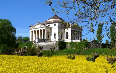 Villa Almerico Capra detta La Rotonda, capolavoro di Palladio a Vicenza, si erge maestosa su un colle, circondata da un mare di fiori gialli.