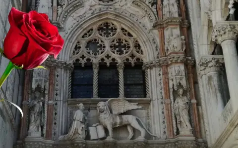 Rosa rossa davanti al Leone alato di San Marco, simbolo di Venezia.
