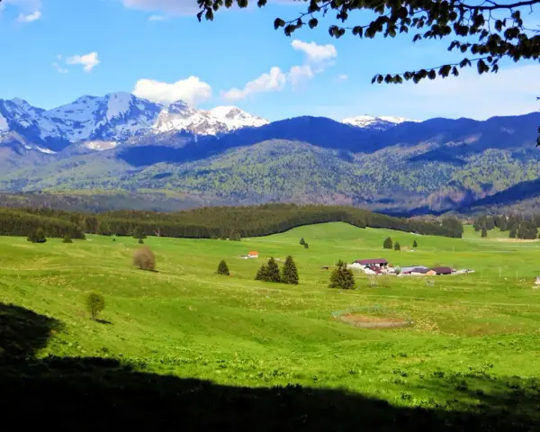Un paesaggio alpino con montagne innevate, verdi colline e fattorie. Un vero consiglio cosa vedere per gli amanti della natura.