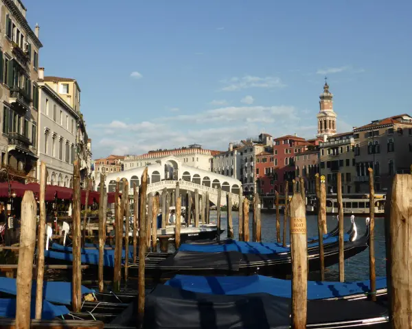 Gondole ormeggiate nel Canal Grande, con il Ponte di Rialto sullo sfondo. Un'immagine di Venezia romantica, con palazzi storici e il cielo azzurro.