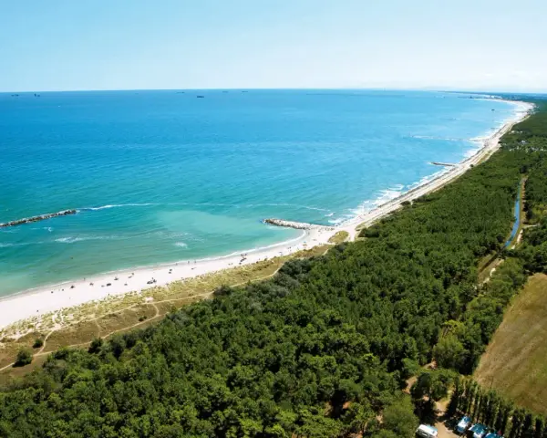 Spiaggia e pineta nel Delta del Po, ideale per un viaggio in camper. Mare azzurro, sabbia dorata e natura rigogliosa.