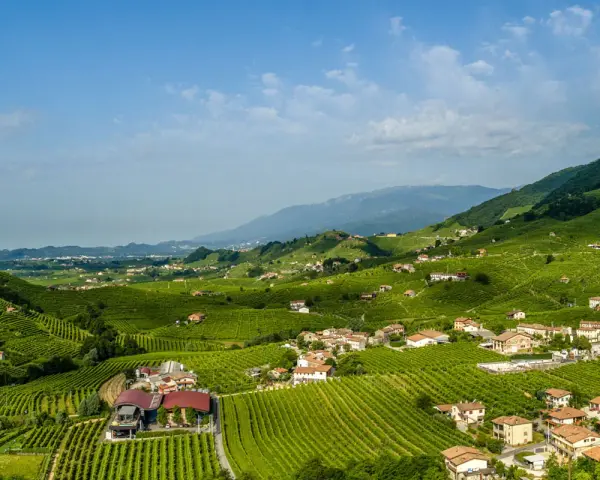 Colline verdi con vigneti a perdita d'occhio, case sparse e montagne sullo sfondo. Un paesaggio incantevole per scoprire Conegliano e dintorni cosa vedere.
