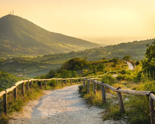 Sentiero panoramico sui Colli Euganei, cosa vedere: un percorso tra colline verdi e vigneti al tramonto.