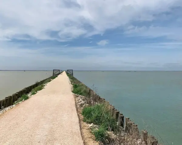 Sentiero lungo le ciclabili del Delta del Po, con acqua calma e cielo nuvoloso.