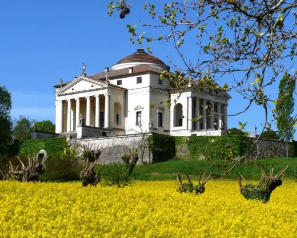 Villa Almerico Capra detta La Rotonda, capolavoro di Palladio a Vicenza, si erge maestosa su un colle, circondata da un mare di fiori gialli.