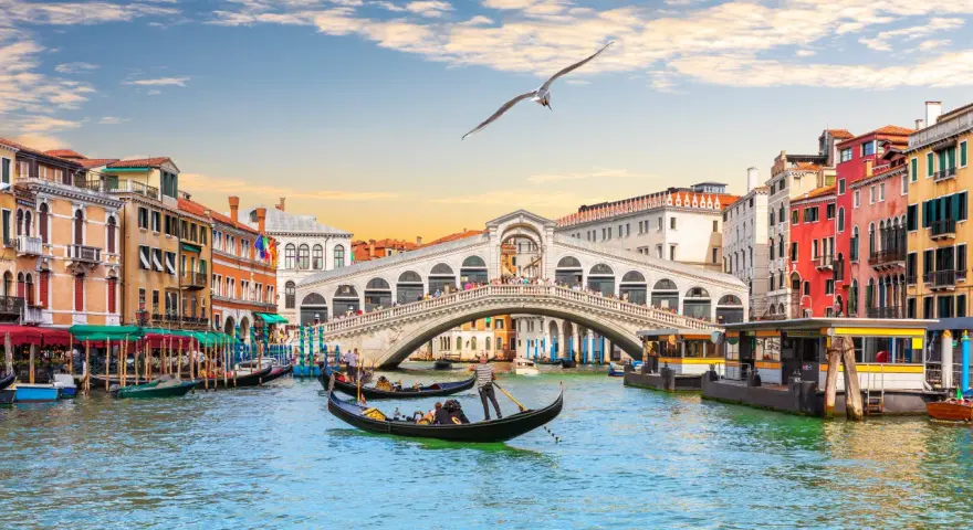 Gondole scivolano sui **canaletti di Venezia**, sotto il Ponte di Rialto, con edifici colorati e un gabbiano in volo.