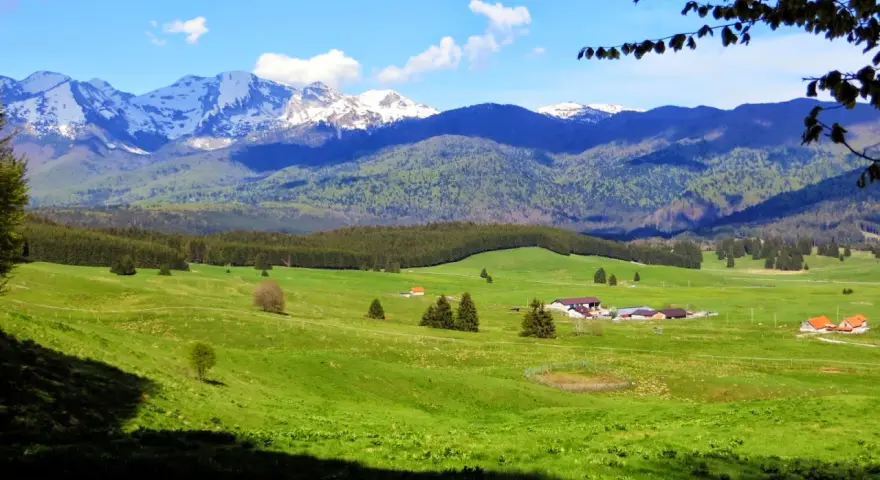 Un paesaggio alpino con montagne innevate, verdi colline e fattorie. Un vero consiglio cosa vedere per gli amanti della natura.