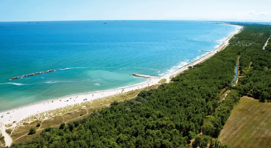 Spiaggia e pineta nel Delta del Po, ideale per un viaggio in camper. Mare azzurro, sabbia dorata e natura rigogliosa.