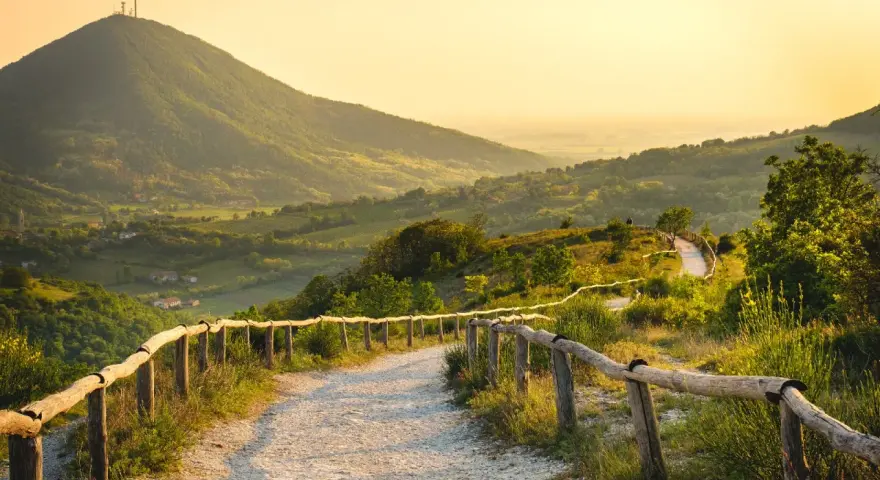 Sentiero panoramico sui Colli Euganei, cosa vedere: un percorso tra colline verdi e vigneti al tramonto.