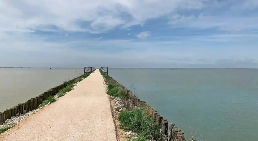 Sentiero lungo le ciclabili del Delta del Po, con acqua calma e cielo nuvoloso.