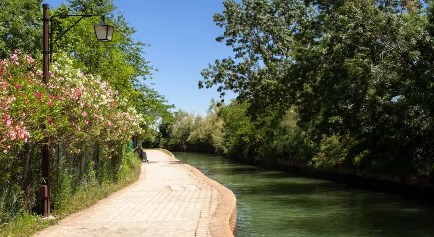Sentiero fiorito lungo il canale, un invito a scoprire come arrivare a Torcello.