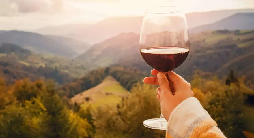 Un calice di vino rosso, perfetto per le degustazioni sui Colli Euganei, si staglia contro un paesaggio collinare autunnale al tramonto.