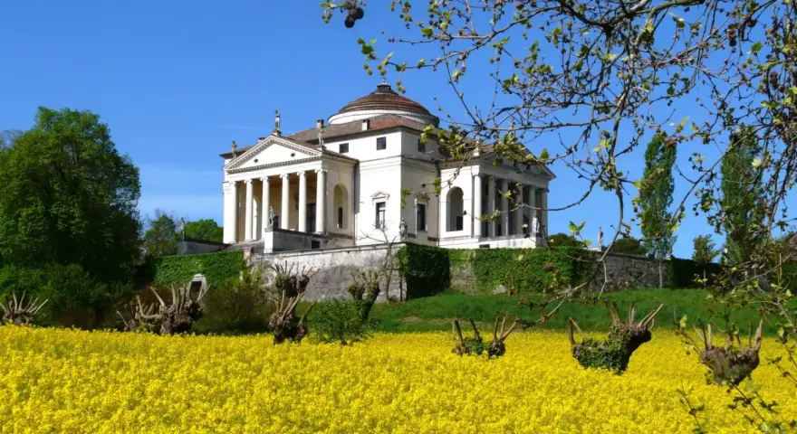Villa Almerico Capra detta La Rotonda, capolavoro di Palladio a Vicenza, si erge maestosa su un colle, circondata da un mare di fiori gialli.