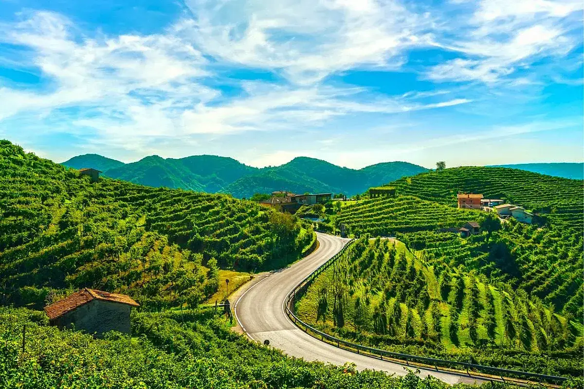 Strada del Prosecco: un paesaggio collinare verdeggiante con vigneti a terrazze, case sparse e una strada tortuosa.