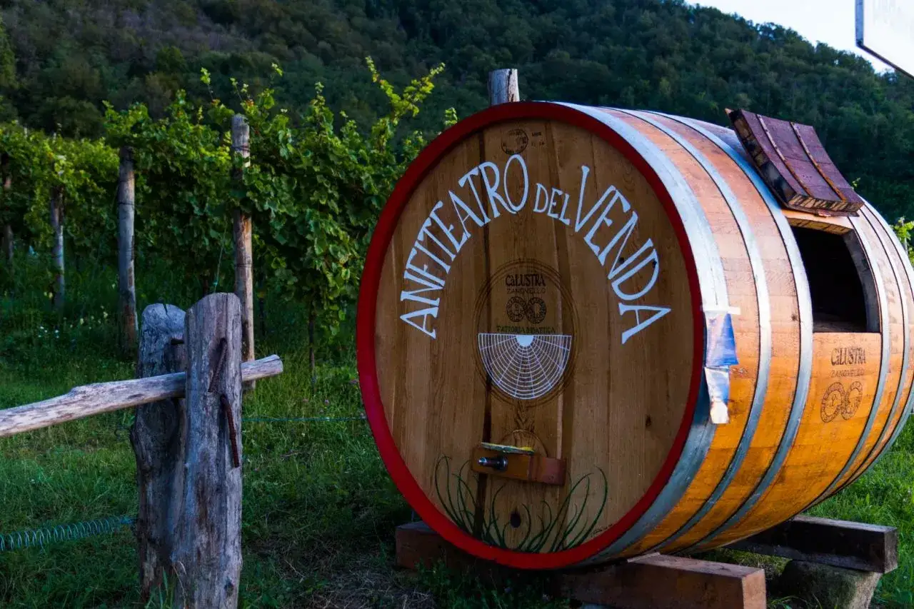 Botte in vigneto con scritta 
