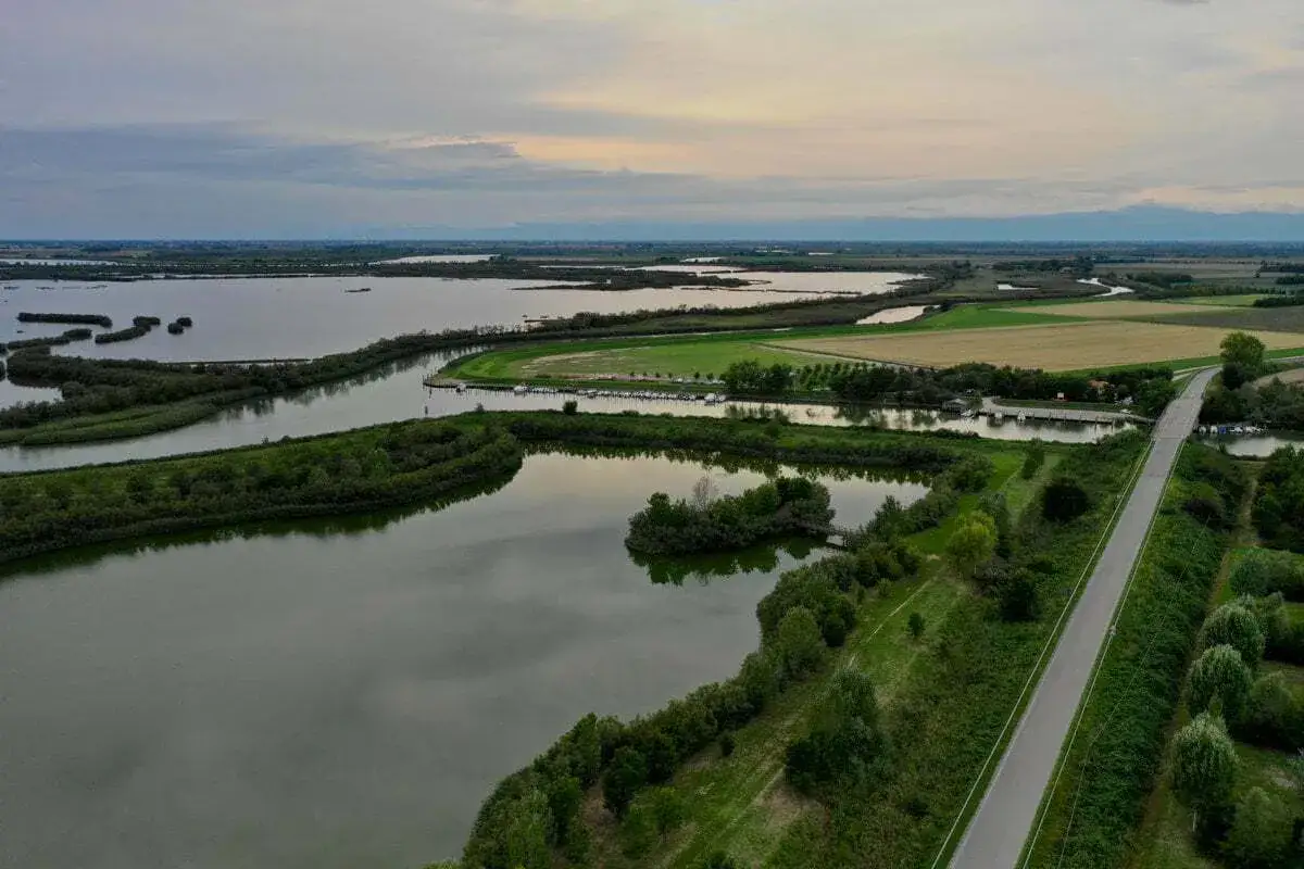 Vasta distesa d'acqua e vegetazione lussureggiante nell'oasi Vallevecchia di Brussa, con campi coltivati e una strada che attraversa il paesaggio.