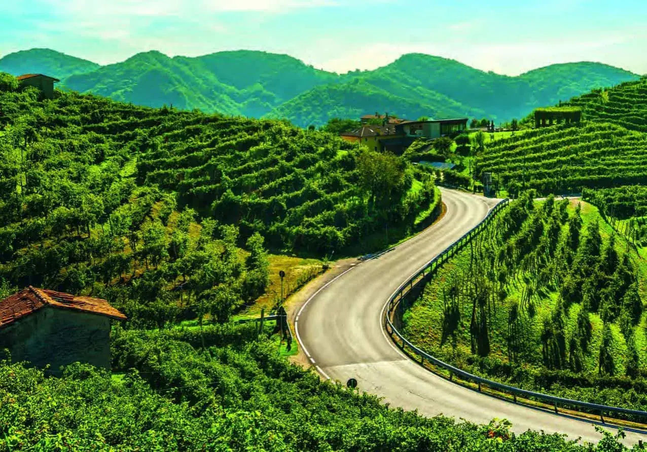 Strada del Prosecco serpeggia tra dolci colline ricoperte di vigneti rigogliosi, con casolari e montagne sullo sfondo.