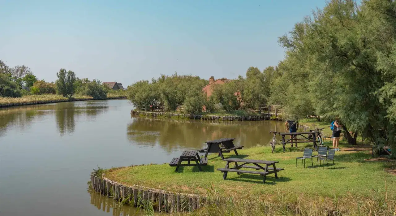 Un'area picnic con tavoli e panche nel Delta del Po, ideale per una sosta in camper tra la natura.