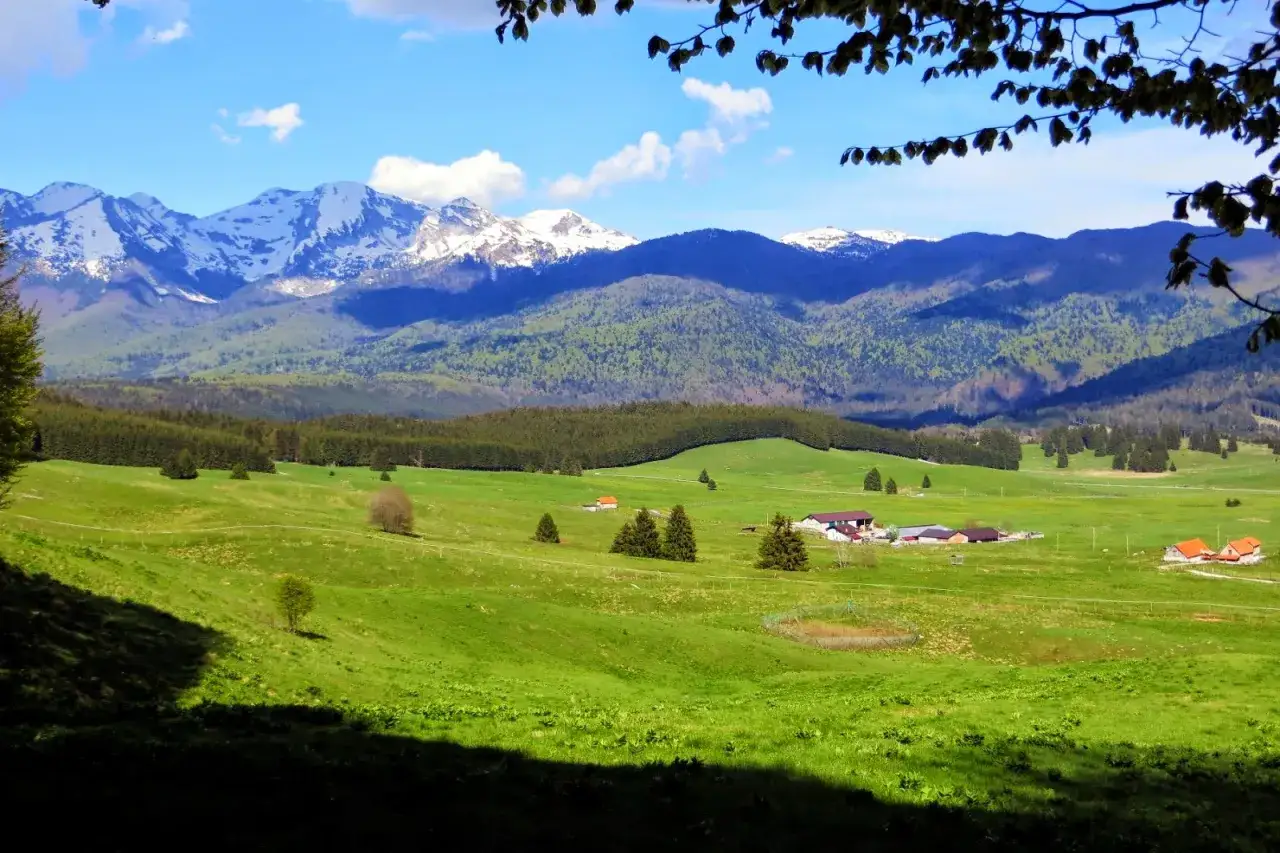 Un paesaggio alpino con montagne innevate, verdi colline e fattorie. Un ottimo consiglio su cosa vedere per gli amanti della natura.