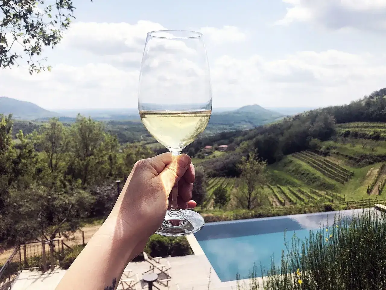 Un calice di vino bianco, degustato con vista sui vigneti dei migliori cantine Colli Euganei. Relax e sapori autentici.